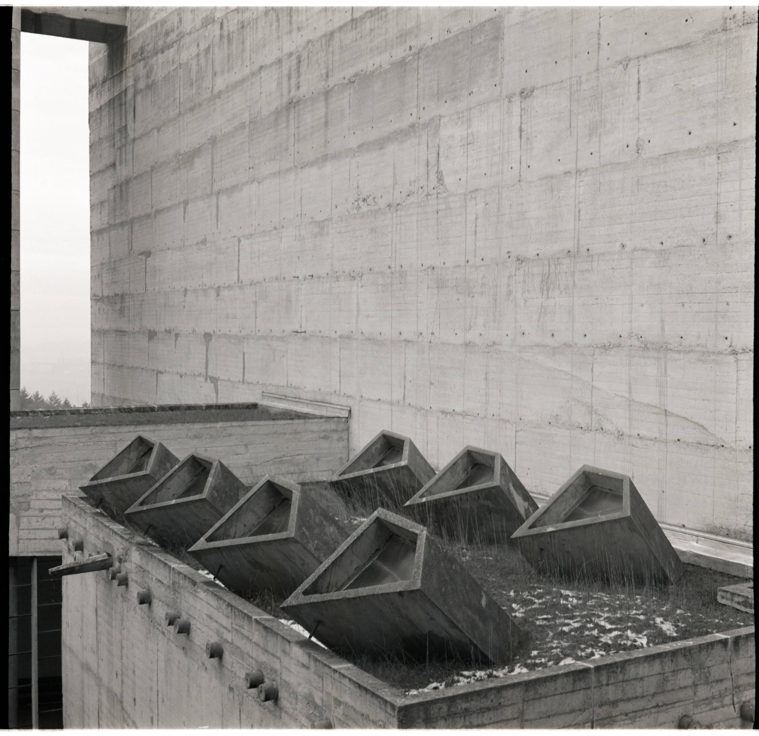 AHP FilmScan 240804 0335